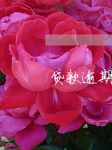 贷款逾期不超过五万 贷款逾期不超过五万