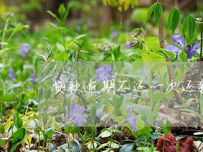 贷款逾期不还一次还款 贷款逾期不还一次还款