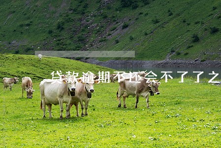 贷款逾期不还会不了了之吗 贷款逾期不还会不了了之吗