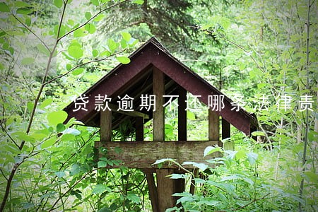 贷款逾期不还哪条法律责任 贷款逾期不还哪条法律责任