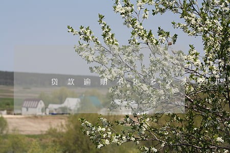 贷款逾期不还多少天会起诉