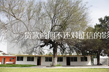 贷款逾期不还对征信的影响 贷款逾期不还对征信的影响