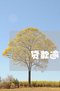 贷款逾期不还构成犯罪吗 贷款逾期不还构成犯罪吗