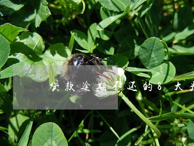 贷款逾期不还的8大严重后果 贷款逾期不还的8大严重后果