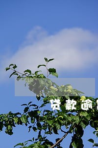 贷款逾期不还的人多吗 贷款逾期不还的人多吗