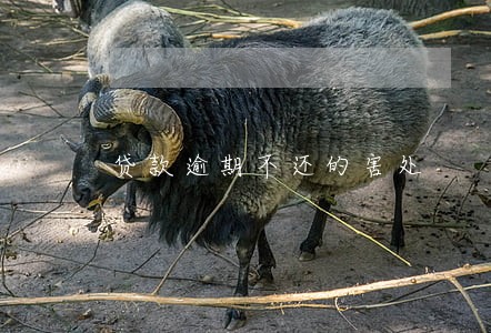 贷款逾期不还的害处 贷款逾期不还的害处