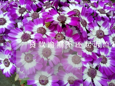 贷款逾期不还起诉流程 贷款逾期不还起诉流程