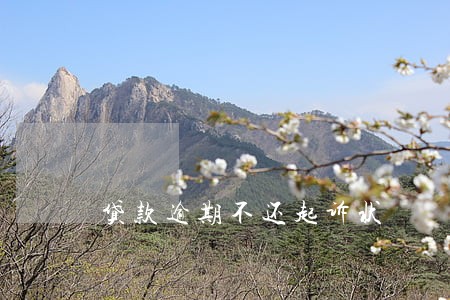 贷款逾期不还起诉状 贷款逾期不还起诉状