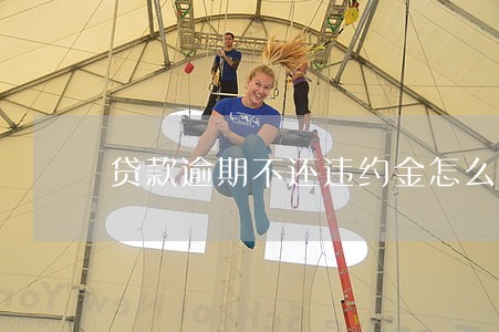 贷款逾期不还违约金怎么收取
