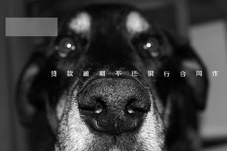 贷款逾期不还银行合同诈骗 贷款逾期不还银行合同诈骗