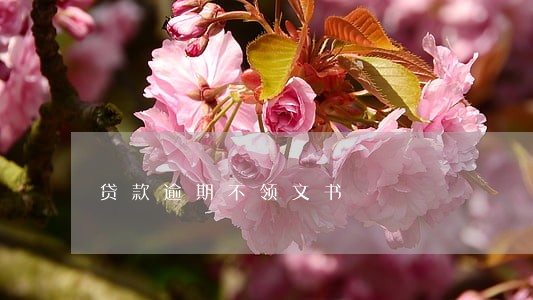 贷款逾期不领文书 贷款逾期不领文书