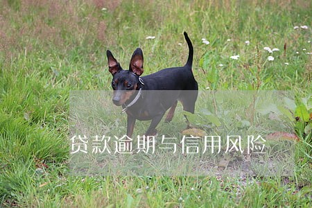 贷款逾期与信用风险 贷款逾期与信用风险