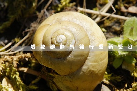 贷款逾期与银行重新签订协议 贷款逾期与银行重新签订协议