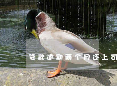 贷款逾期两个月还上可以吗