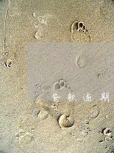 贷款逾期两个月还能贷款吗 贷款逾期两个月还能贷款吗