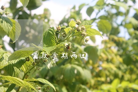 贷款逾期两回 贷款逾期两回