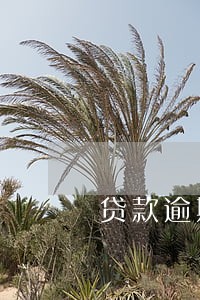 贷款逾期两天会影响信用吗 贷款逾期两天会影响信用吗