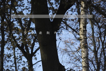 贷款逾期两天找上门 贷款逾期两天找上门