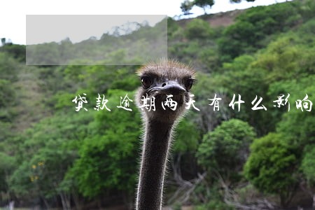 贷款逾期两天有什么影响 贷款逾期两天有什么影响