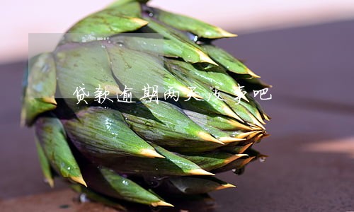 贷款逾期两天没事吧