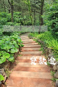 贷款逾期两天还是一样分期吗 贷款逾期两天还是一样分期吗