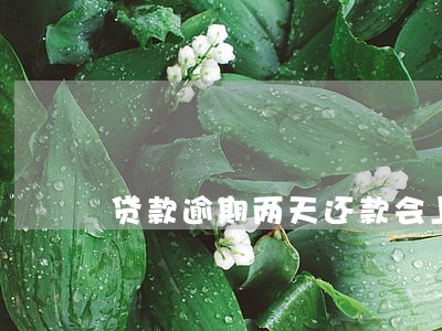 贷款逾期两天还款会上征信吗 贷款逾期两天还款会上征信吗