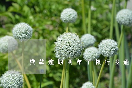 贷款逾期两年了银行没通知 贷款逾期两年了银行没通知