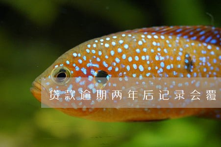 贷款逾期两年后记录会覆盖吗 贷款逾期两年后记录会覆盖吗