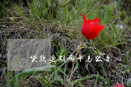 贷款逾期两年怎么办 贷款逾期两年怎么办