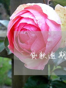 贷款逾期两年银行没有催款 贷款逾期两年银行没有催款