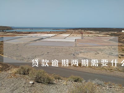 贷款逾期两期需要什么报告