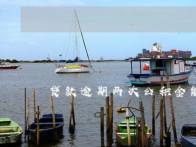 贷款逾期两次公积金能提取吗 贷款逾期两次公积金能提取吗