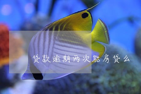 贷款逾期两次能房贷么 贷款逾期两次能房贷么