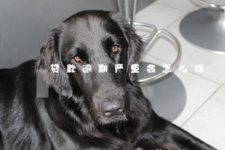 贷款逾期严重会怎么样 贷款逾期严重会怎么样