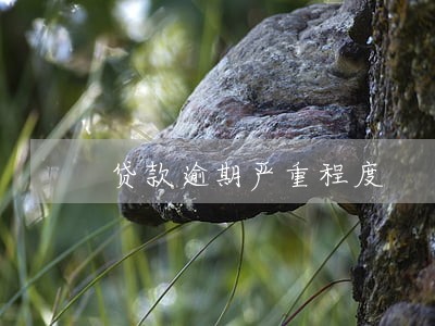 贷款逾期严重程度 贷款逾期严重程度