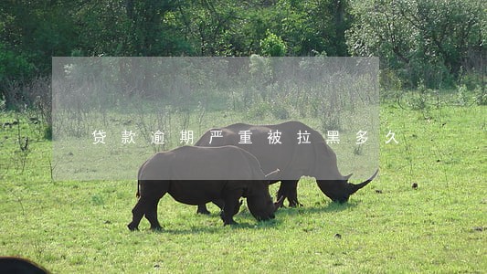 贷款逾期严重被拉黑多久 贷款逾期严重被拉黑多久