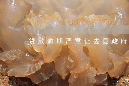 贷款逾期严重让去县政府 贷款逾期严重让去县政府