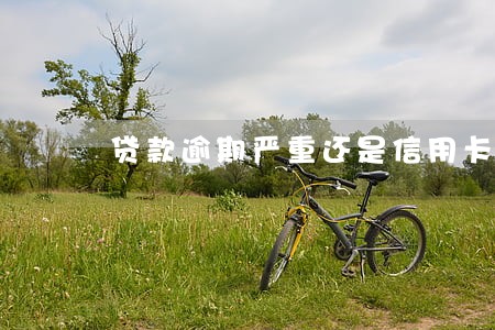 贷款逾期严重还是信用卡逾期严重 贷款逾期严重还是信用卡逾期严重