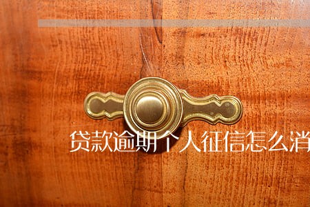 贷款逾期个人征信怎么消除 贷款逾期个人征信怎么消除
