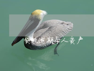 贷款逾期个人资产 贷款逾期个人资产