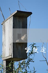 贷款逾期中可以改名吗 贷款逾期中可以改名吗