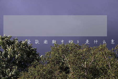 贷款逾期中的3是什么意思 贷款逾期中的3是什么意思