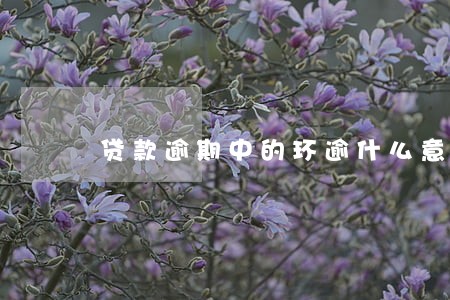 贷款逾期中的环逾什么意思 贷款逾期中的环逾什么意思