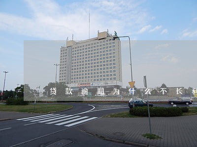 贷款逾期为什么不长利息 贷款逾期为什么不长利息