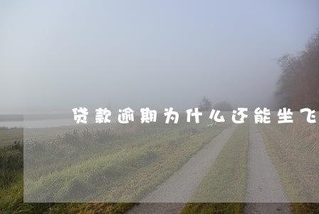 贷款逾期为什么还能坐飞机 贷款逾期为什么还能坐飞机