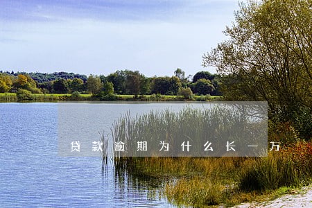 贷款逾期为什么长一万 贷款逾期为什么长一万