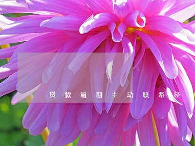 贷款逾期主动联系经办行 贷款逾期主动联系经办行