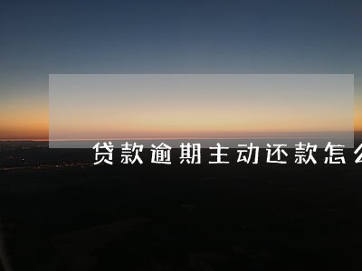 贷款逾期主动还款怎么还 贷款逾期主动还款怎么还