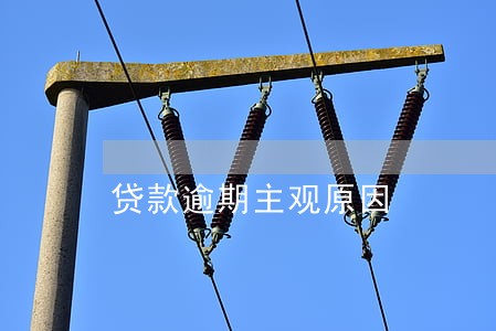 贷款逾期主观原因 贷款逾期主观原因