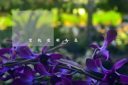 贷款逾期久悬 贷款逾期久悬